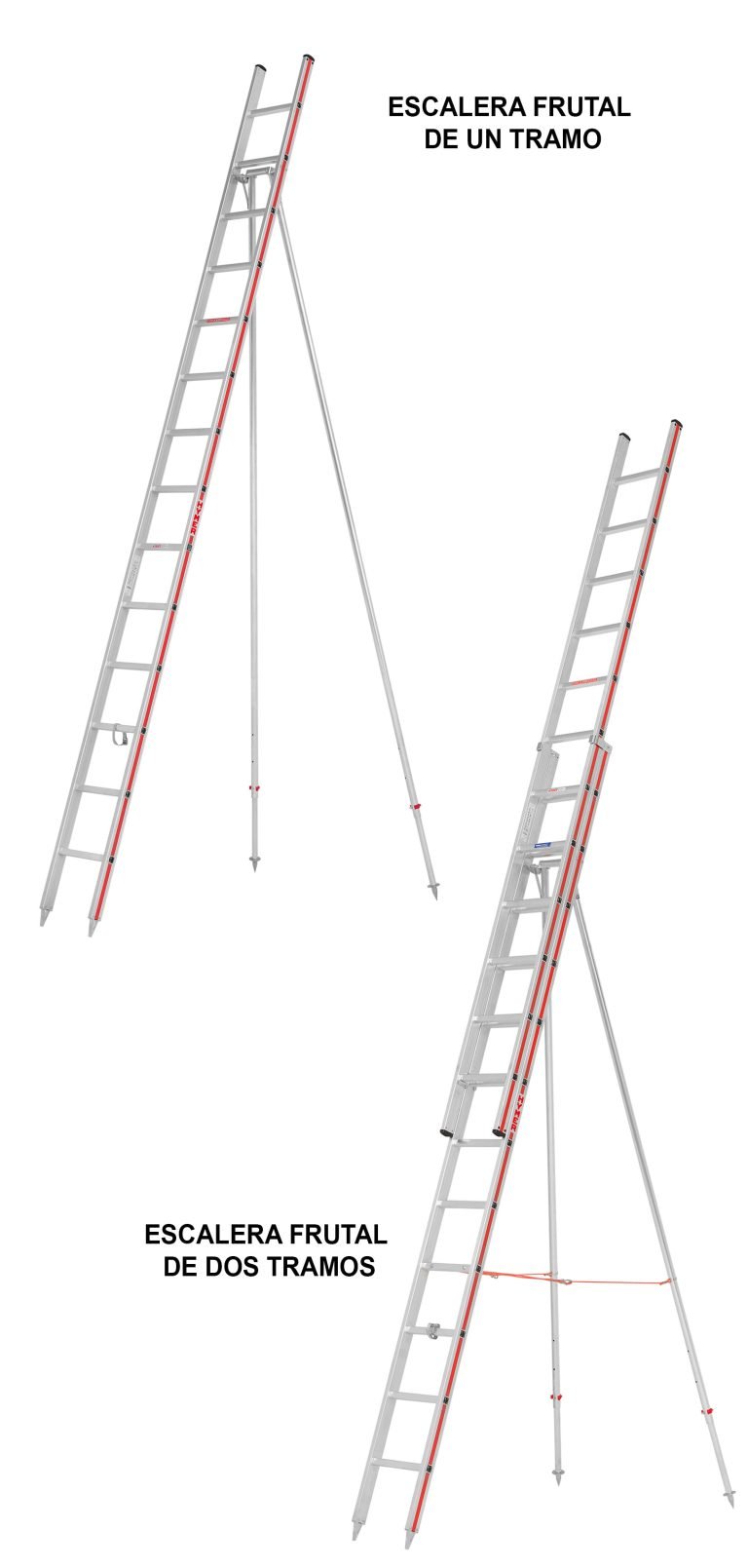 escaleras frutales