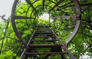Escaleras de gato qué son y cuándo se utilizan