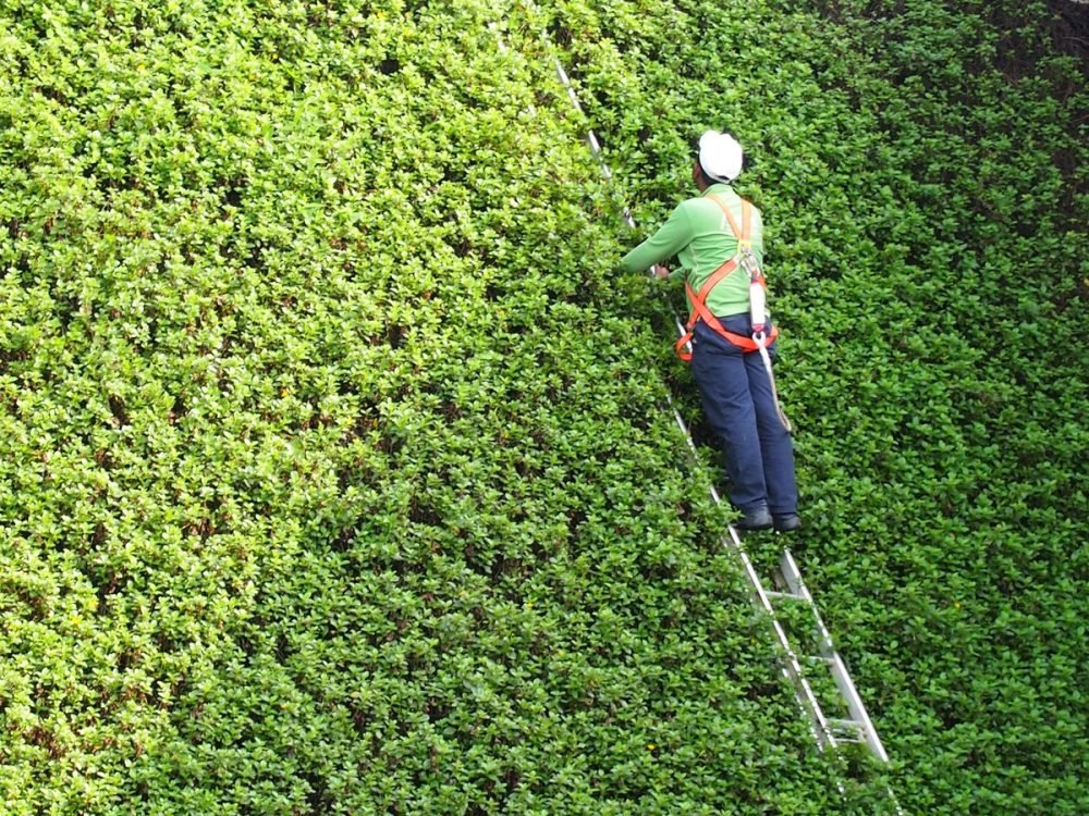 Cómo subir y bajar de las escaleras de mano