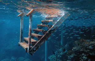 Las escaleras en la historia