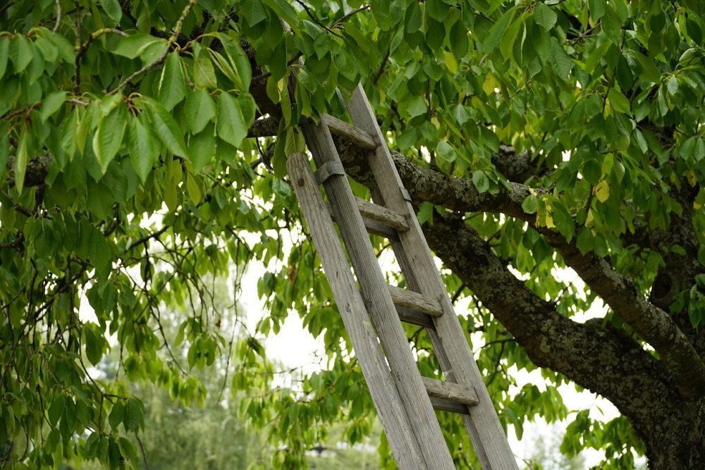 Los beneficios de las escaleras de madera para el medioambiente