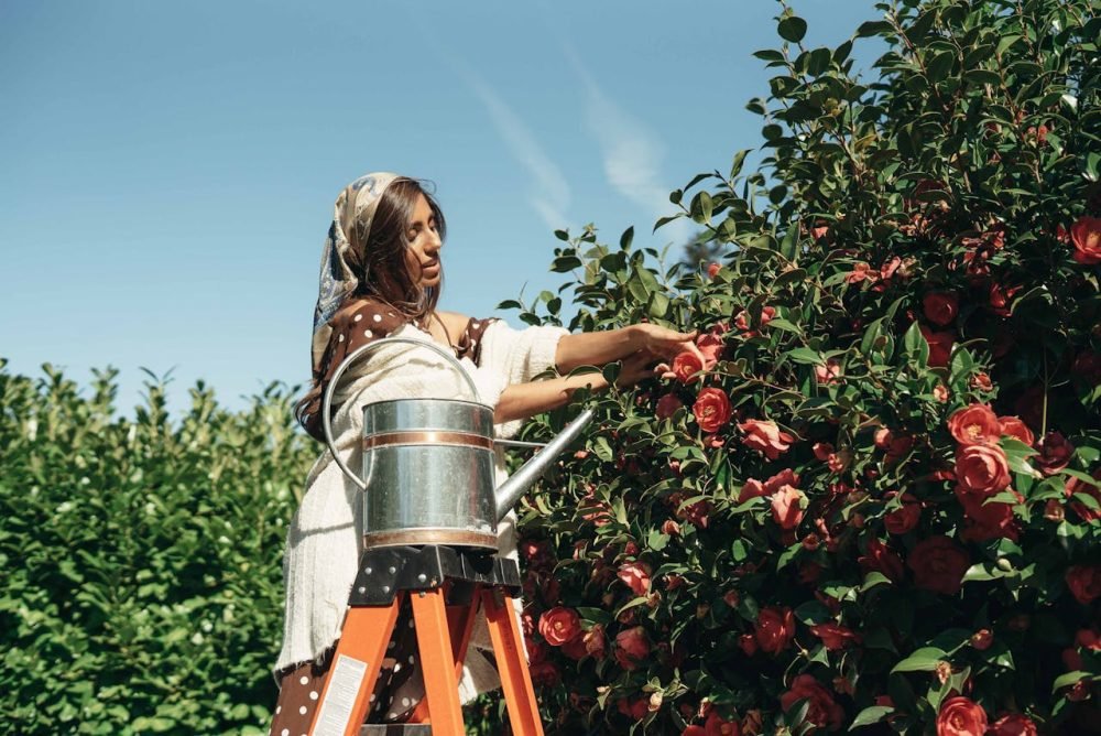 Las mejores escaleras para el cuidado de tu jardín